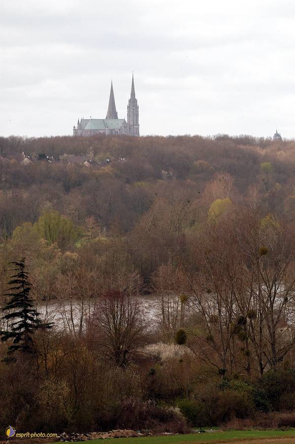 Nom de l'image : D1120180-01_(c)Norbert-JUNG — Description :  PËlerinage de Chartres 2004